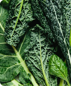 <strong>Lutein</strong>