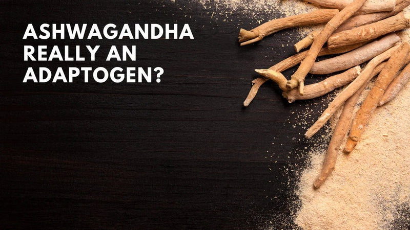 Ashwagandha adaptogen benefits and doubts