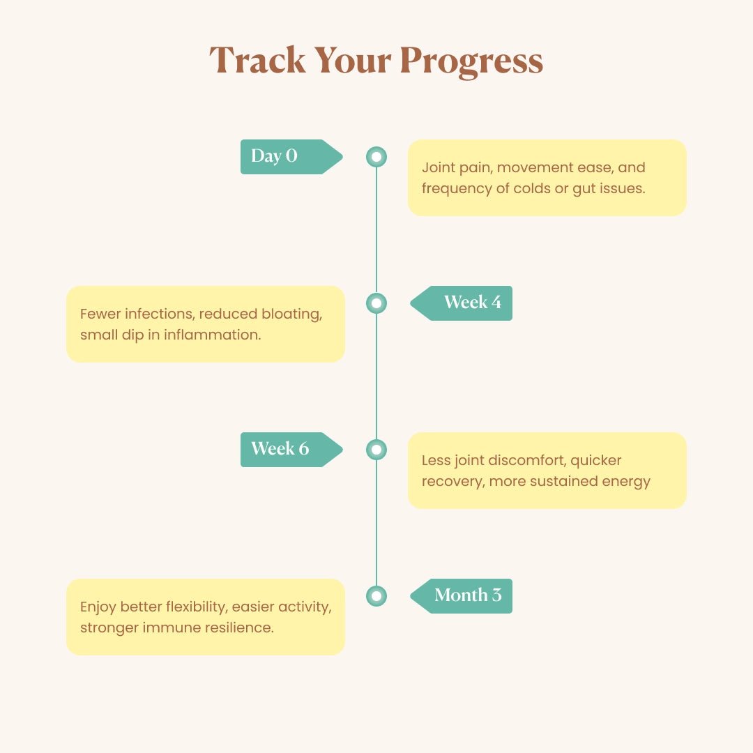 Curcumin - Pain Relief & Immune Support