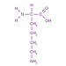 L-Lysine