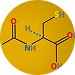 N-Acetyl Cysteine (NAC)