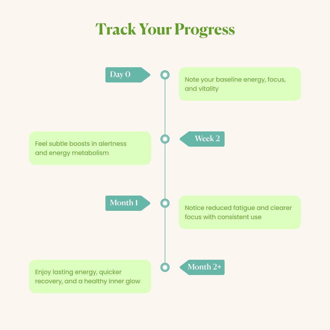 Moringa - Non-caffeinated Energy Boost