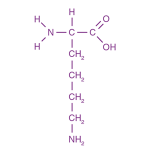 L-Lysine