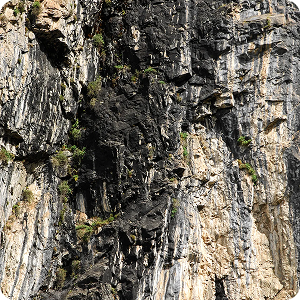 <strong>Shilajit</strong>