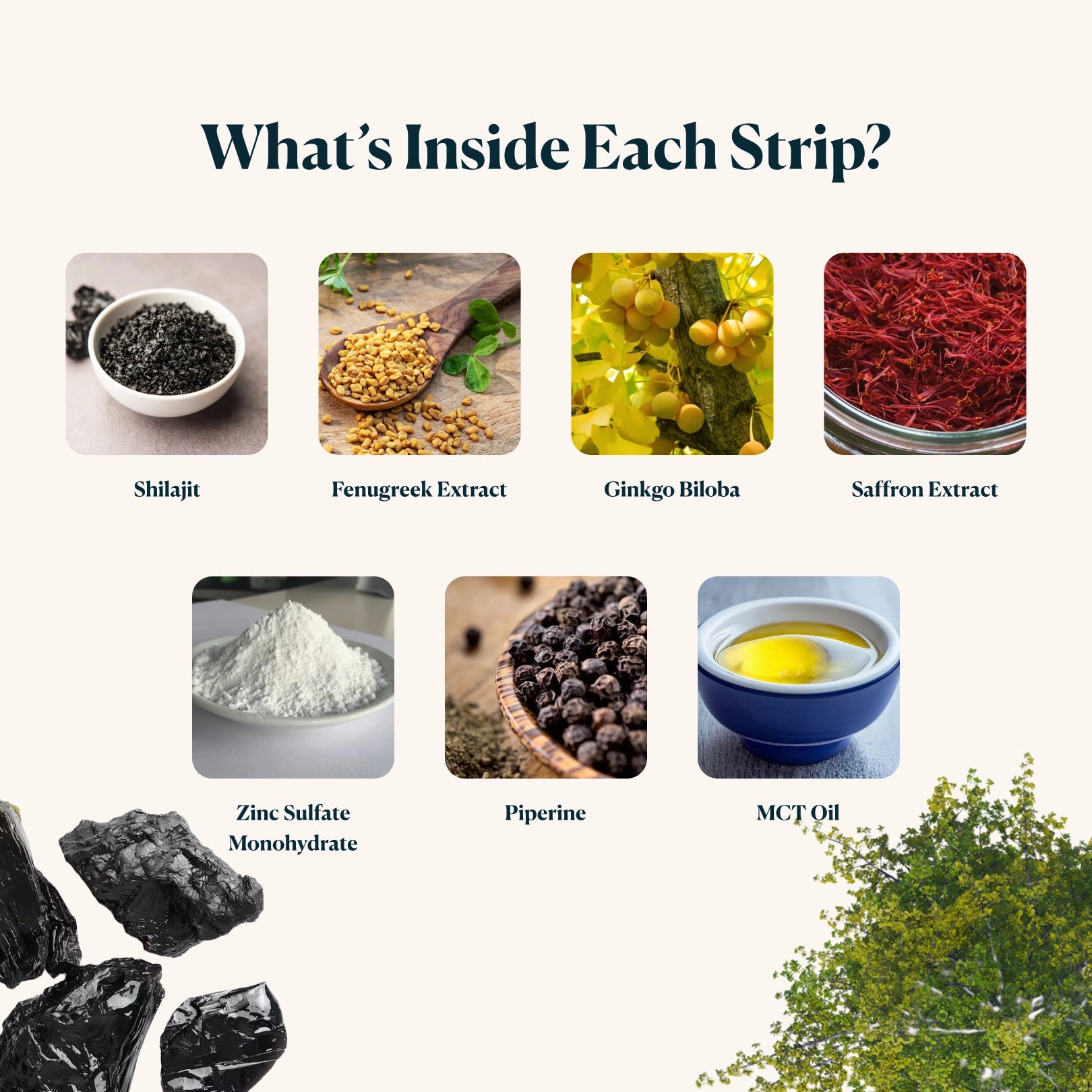 Shilajit