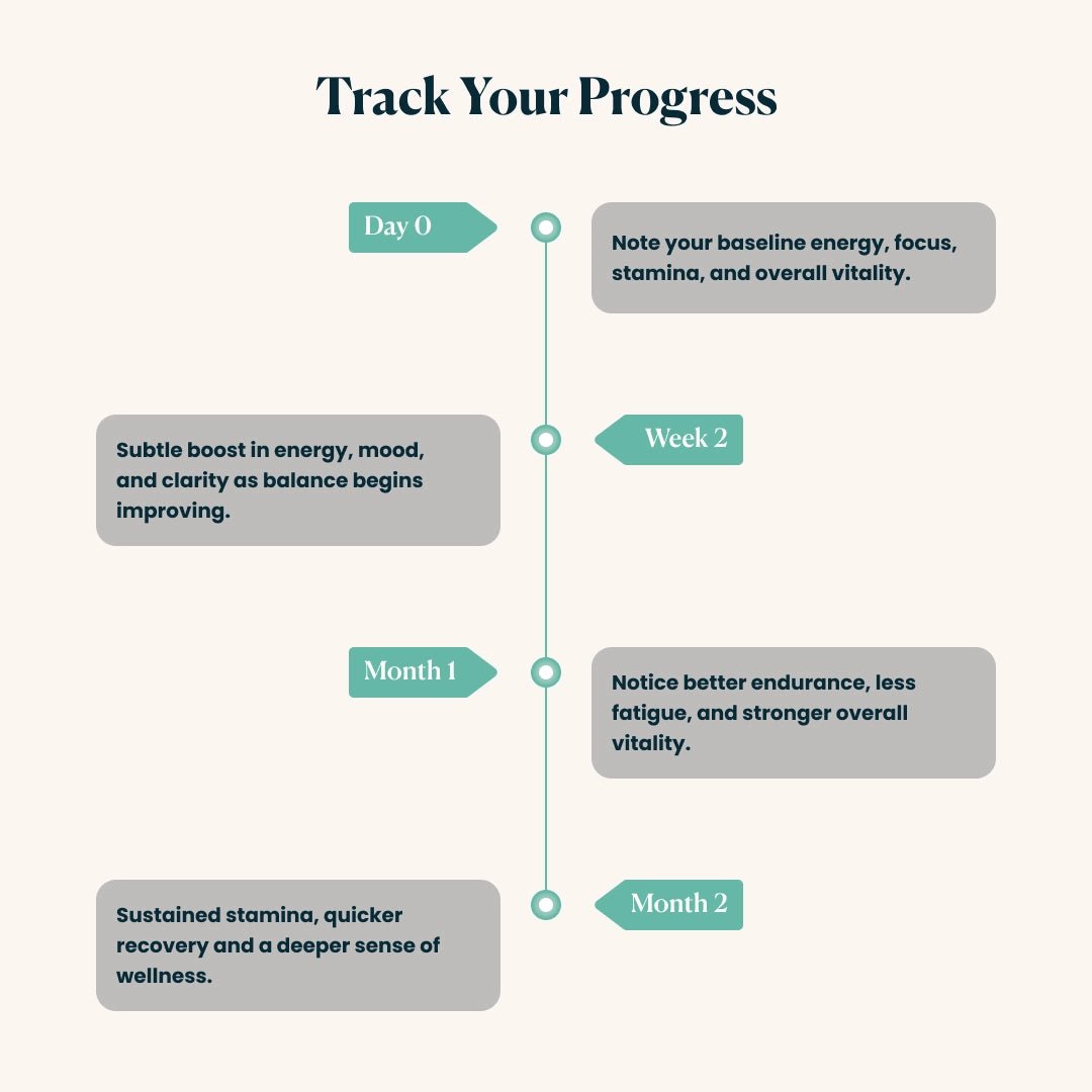 Shilajit - Energy, Stamina & Endurance for Men